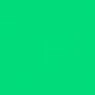 LEE-Farbfilter 124, 100x122cm Bogen DARK GREEN