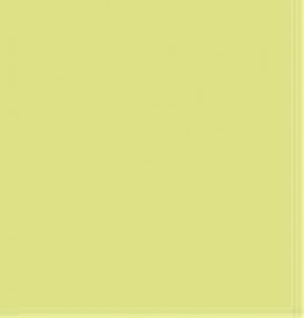 LEE-Farbfilter 245, 100x122cm Bogen, Half Plus Green